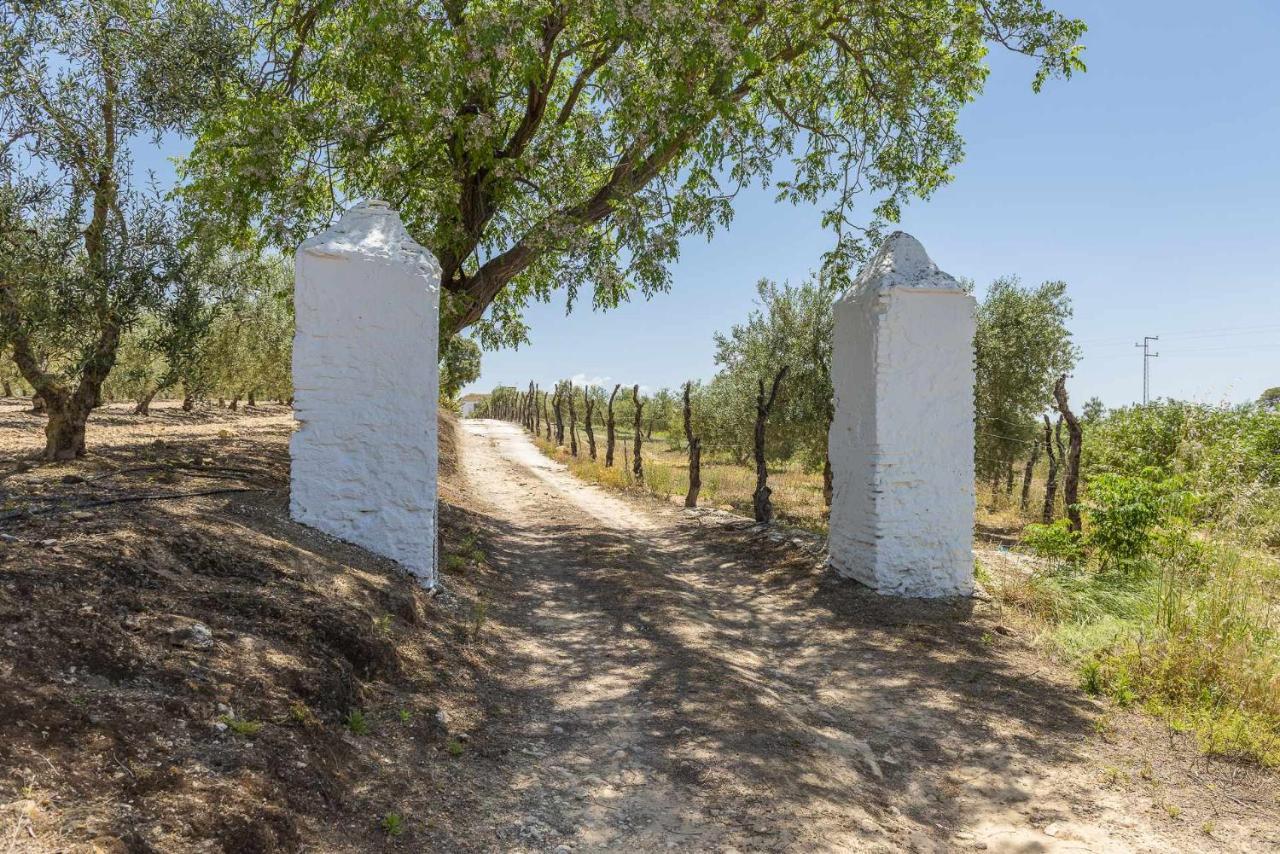 Hacienda San Antonio Vila Marchena  Exterior foto